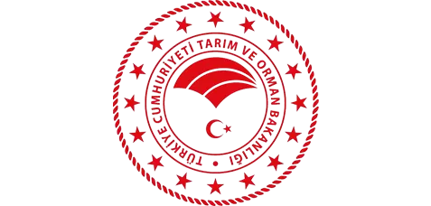 imgi_166_calsunpet_1640952817-removebg-preشششview