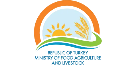 ضcalsunpet_1640952817-removebg-preview